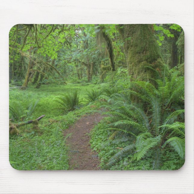 USA, Washington, Olympischer Nationalpark, Mousepad (Vorne)