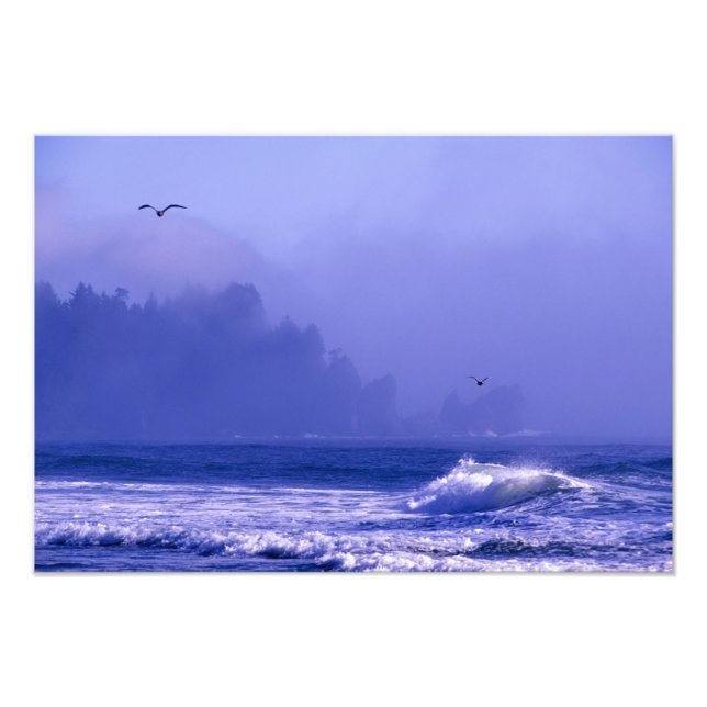 USA, Washington, Olympischer Nationalpark. Nebel Fotodruck (Vorne)