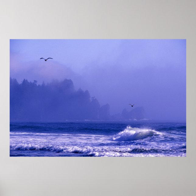 USA, Washington, Olympischer Nationalpark. Nebel Poster (Vorne)