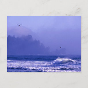 USA, Washington, Olympischer Nationalpark. Nebel Postkarte