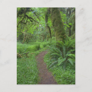 USA, Washington, Olympischer Nationalpark, Postkarte