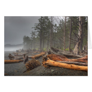 USA, Washington, Olympischer Nationalpark, Rialto