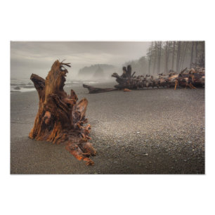 USA, Washington, Olympischer Nationalpark, Rialto  Fotodruck