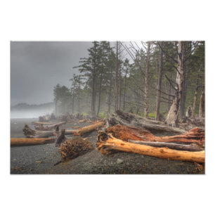 USA, Washington, Olympischer Nationalpark, Rialto Fotodruck