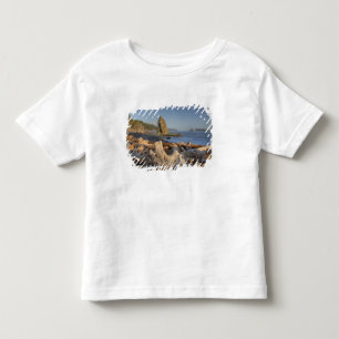 USA, Washington, Olympischer Nationalpark, Rialto Kleinkind T-shirt