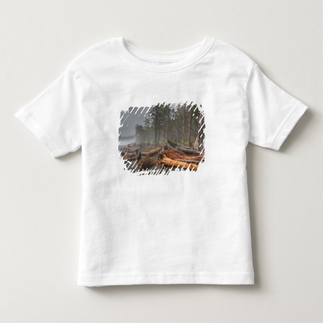 USA, Washington, Olympischer Nationalpark, Rialto Kleinkind T-shirt (Vorderseite)