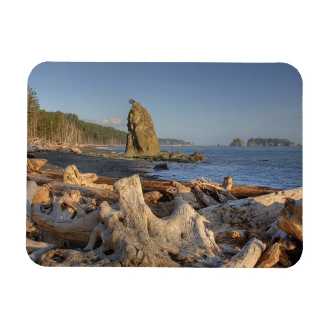 USA, Washington, Olympischer Nationalpark, Rialto Magnet (Horizontal)