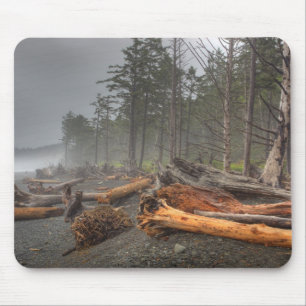 USA, Washington, Olympischer Nationalpark, Rialto Mousepad
