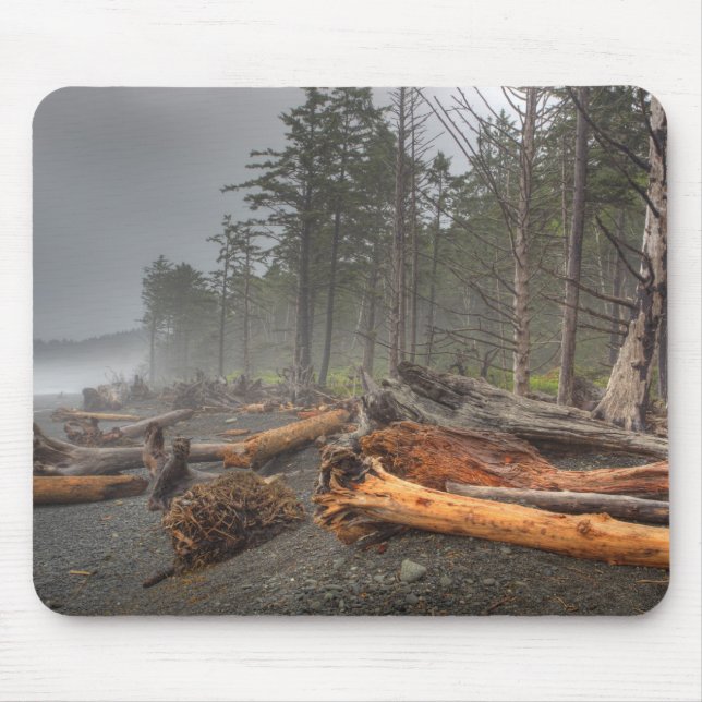 USA, Washington, Olympischer Nationalpark, Rialto Mousepad (Vorne)