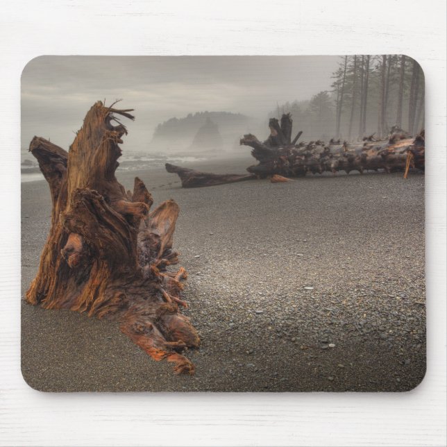 USA, Washington, Olympischer Nationalpark, Rialto  Mousepad (Vorne)