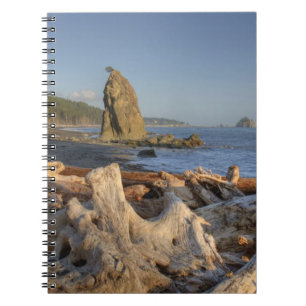 USA, Washington, Olympischer Nationalpark, Rialto Notizblock