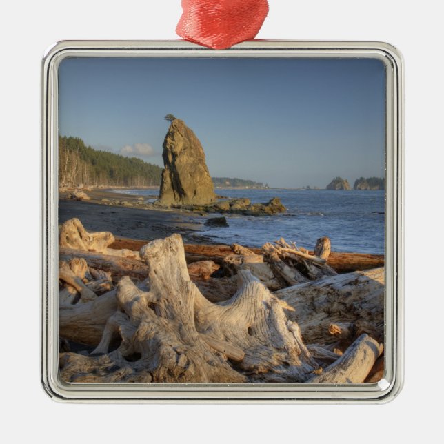 USA, Washington, Olympischer Nationalpark, Rialto Ornament Aus Metall (Vorne)