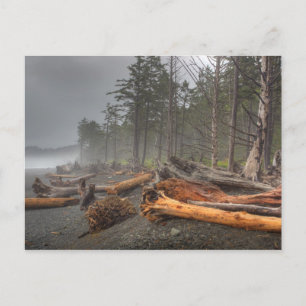 USA, Washington, Olympischer Nationalpark, Rialto Postkarte