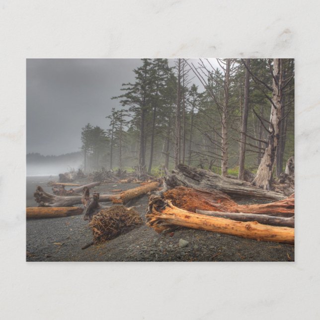 USA, Washington, Olympischer Nationalpark, Rialto Postkarte (Vorderseite)