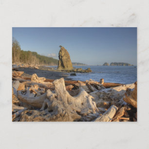 USA, Washington, Olympischer Nationalpark, Rialto Postkarte