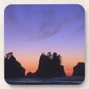 USA, Washington, Olympischer Nationalpark, Shi-shi Getränkeuntersetzer