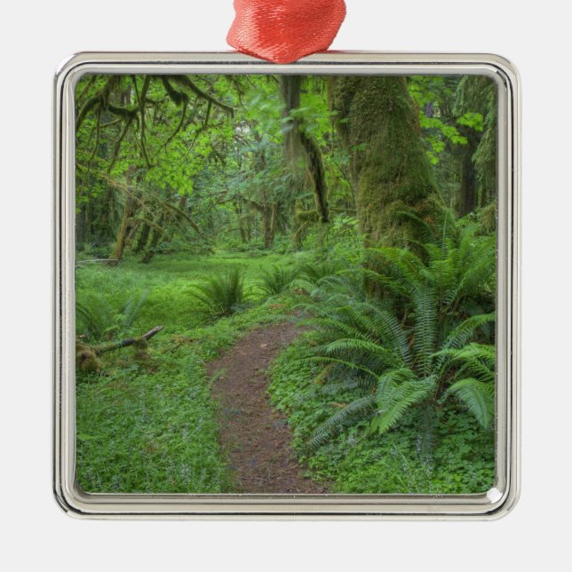 USA, Washington, Olympischer Nationalpark, Silbernes Ornament (Vorne)