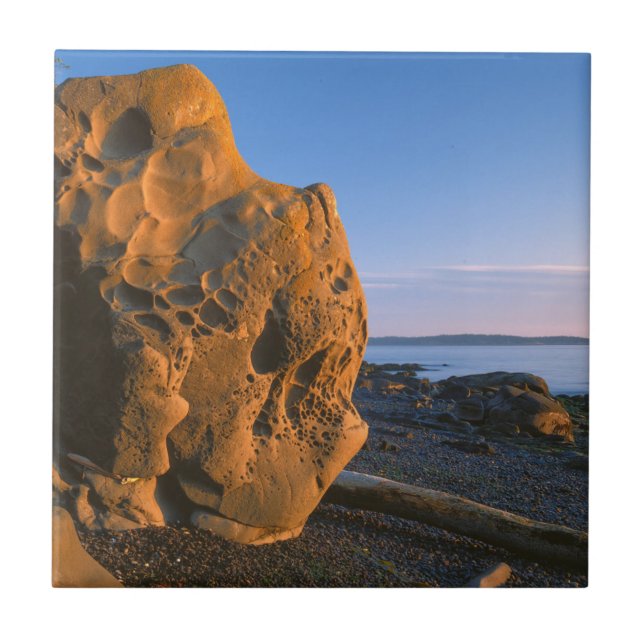 USA, Washington, Orcas Island, Boulder Fliese (Vorderseite)
