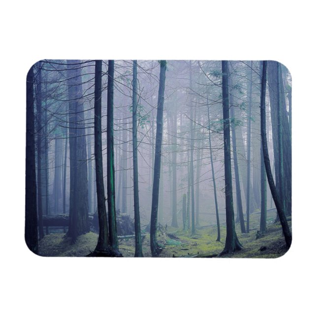 USA, Washington, Orcas Island, Moran Staat Park Magnet (Horizontal)