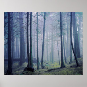 USA, Washington, Orcas Island, Moran Staat Park Poster