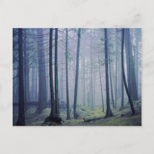 USA, Washington, Orcas Island, Moran Staat Park Postkarte