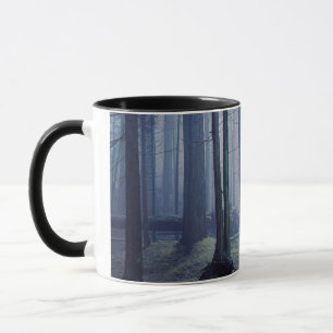 USA, Washington, Orcas Island, Moran Staat Park Tasse