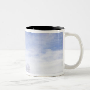 USA, Washington, Palouse Area, Mattiert Black Zweifarbige Tasse