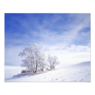 USA, Washington, Palouse-Gebiet, Frostschwarze Fotodruck