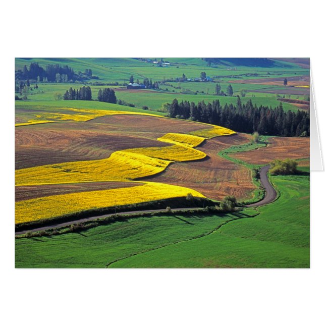 USA, Washington, Palouse, Whitman Landkreis 2 (Vorderseite (Horizontal))