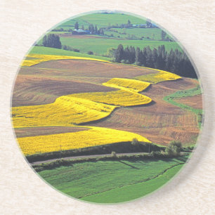 USA, Washington, Palouse, Whitman Landkreis 2 Getränkeuntersetzer