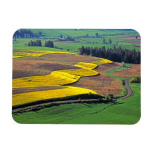 USA, Washington, Palouse, Whitman Landkreis 2 Magnet