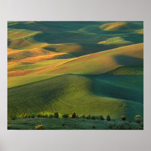 USA, Washington, Palouse, Whitman Landkreis Poster