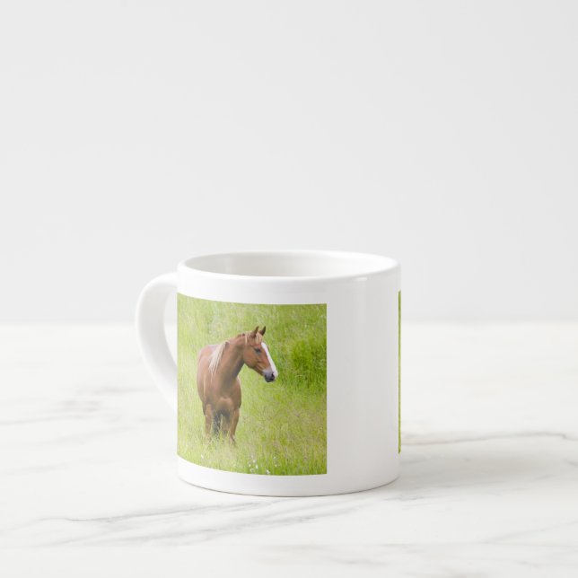 USA, Washington, Pferd in Spring Field, Espressotasse (Vorderseite Links)