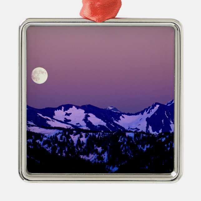 USA, Washington, Port Angeles, Olympic National Silbernes Ornament (Vorne)