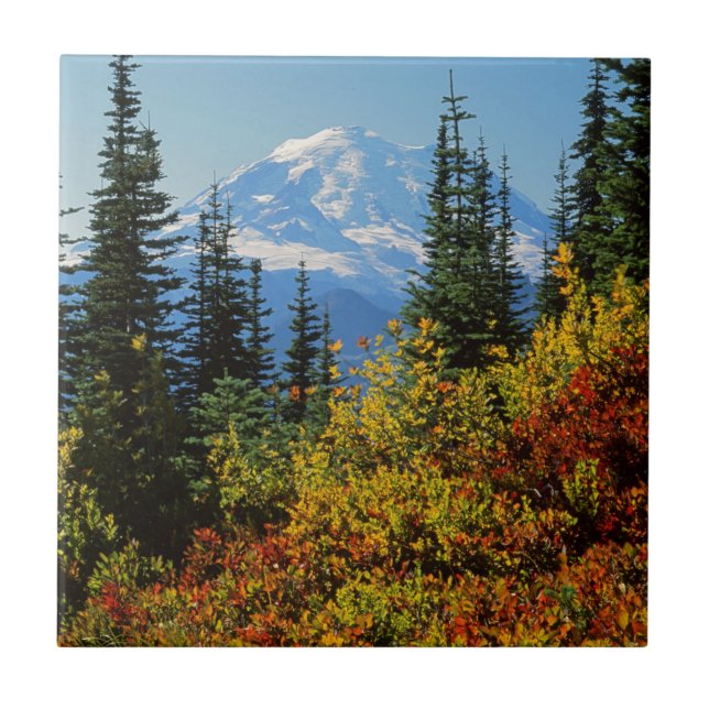 USA, Washington, Rainier National Park 2 Fliese (Vorderseite)