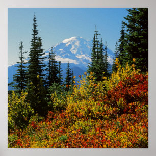 USA, Washington, Rainier National Park 2 Poster