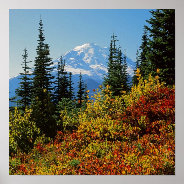USA, Washington, Rainier National Park 2 Poster (Vorne)