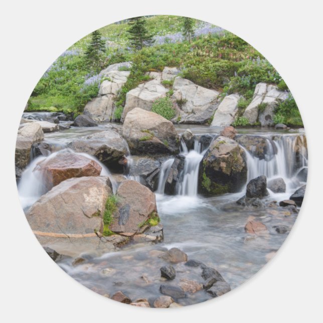 USA, Washington, Rainier National Park 3 Runder Aufkleber (Vorderseite)