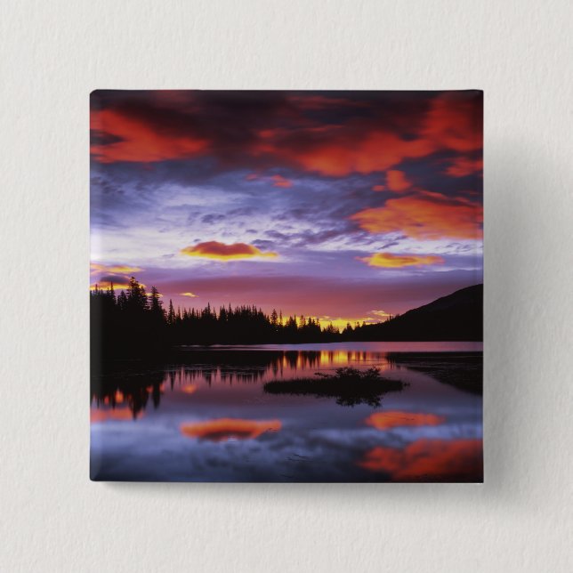 USA, Washington, Rainier National Park, Button (Vorderseite)