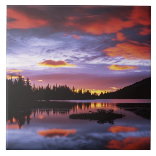 USA, Washington, Rainier National Park, Fliese (Vorderseite)