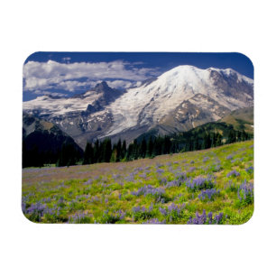 USA, Washington, Rainier National Park. Magnet