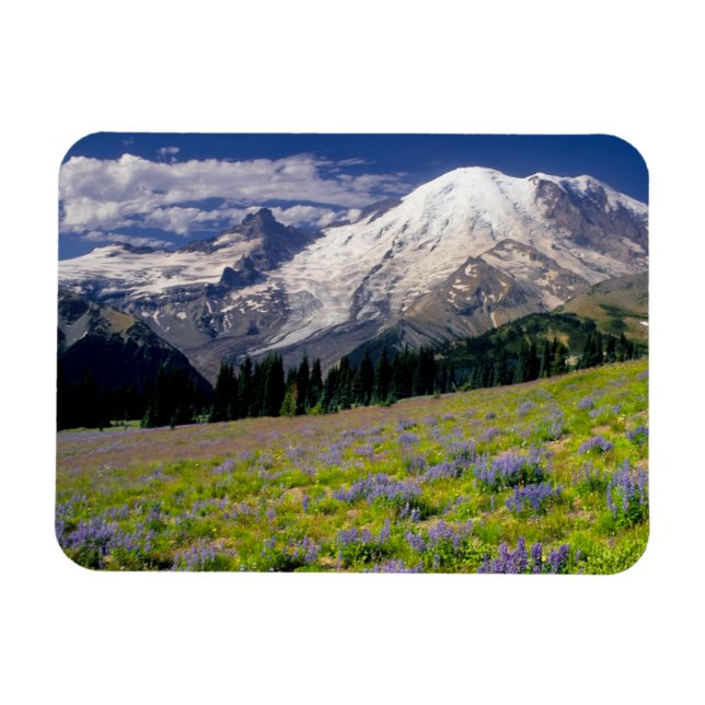 USA, Washington, Rainier National Park. Magnet (Horizontal)