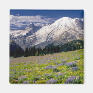 USA, Washington, Rainier National Park. Magnet