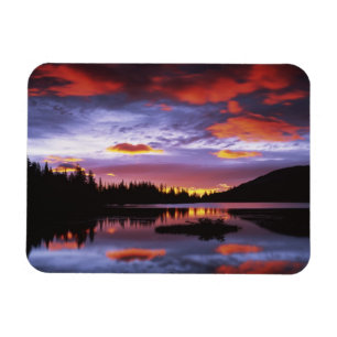 USA, Washington, Rainier National Park, Magnet