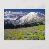 USA, Washington, Rainier National Park.