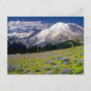 USA, Washington, Rainier National Park. Postkarte