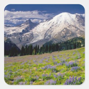 USA, Washington, Rainier National Park. Quadratischer Aufkleber