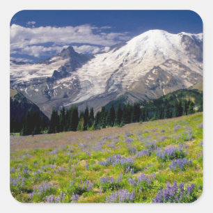 USA, Washington, Rainier National Park. Quadratischer Aufkleber