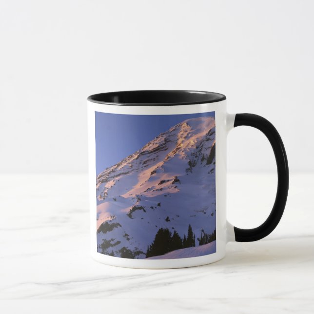 USA, Washington, Rainier National Park Tasse (Rechts)