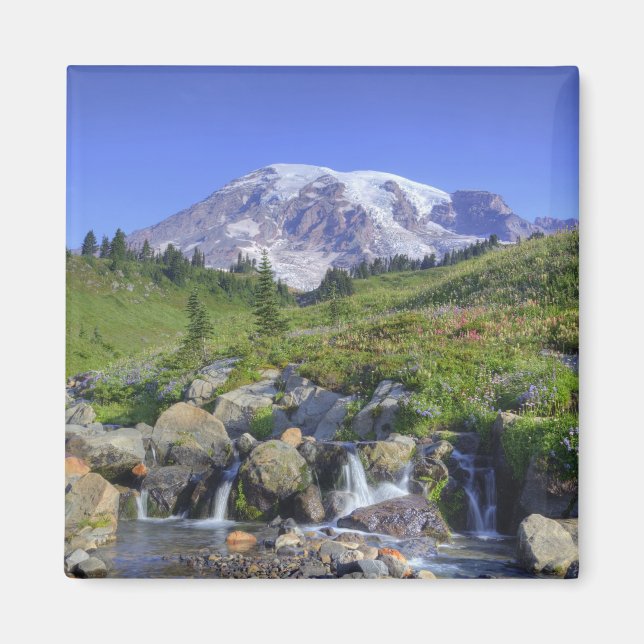 USA, Washington, Rainier NP, Rainier und 2 Magnet (Vorne)